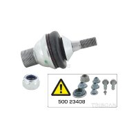 Support And Guide Joint TRISCAN IAM Expertise for...