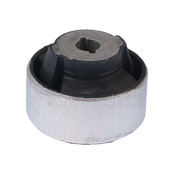 Handlebar Bearing Control arm TRISCAN IAM-Expertise for CITROËN JUMPY and others