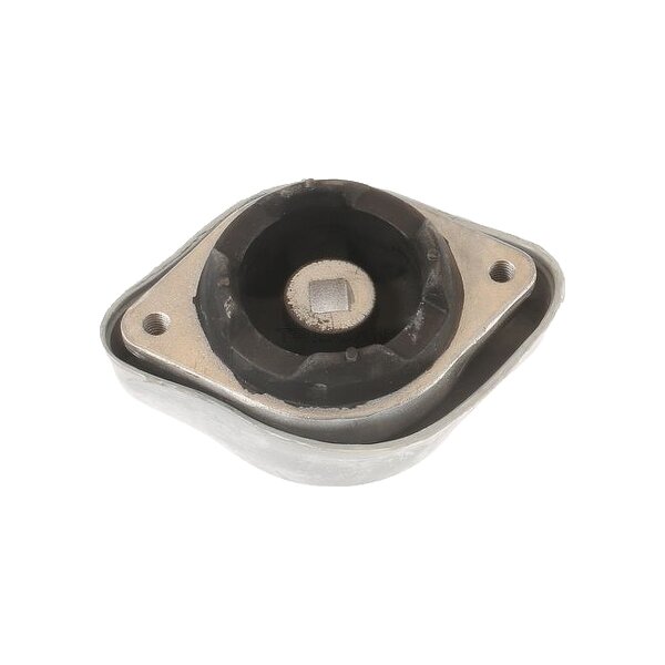 Mounting Automatic Transmission TRISCAN IAM-Expertise for e.g. VW PASSAT