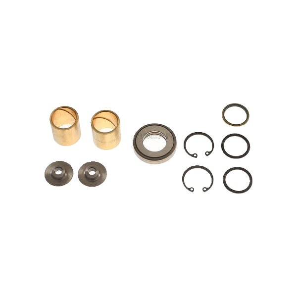 Repair Kit Kingpin TRISCAN IAM-Expertise for MERCEDES-BENZ T1 and others