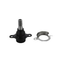 Support And Guide Joint TRISCAN IAM-Expertise for FORD...