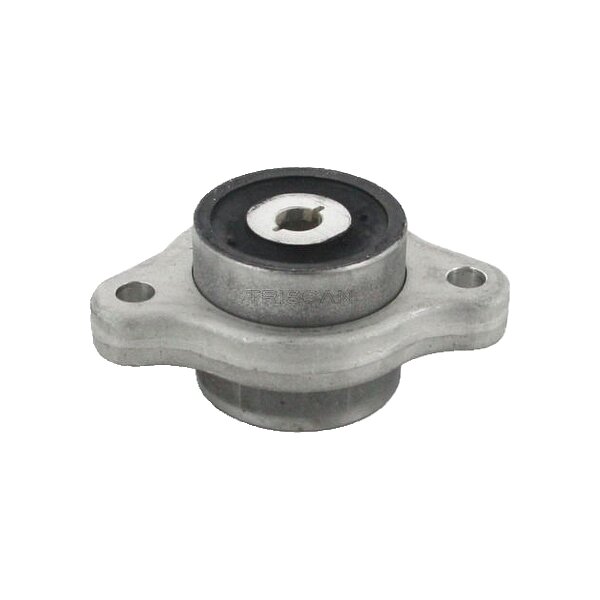 Lagerung Lenker Querlenker Gummimetalllager TRISCAN für u.a. MERCEDES-BENZ VIANO