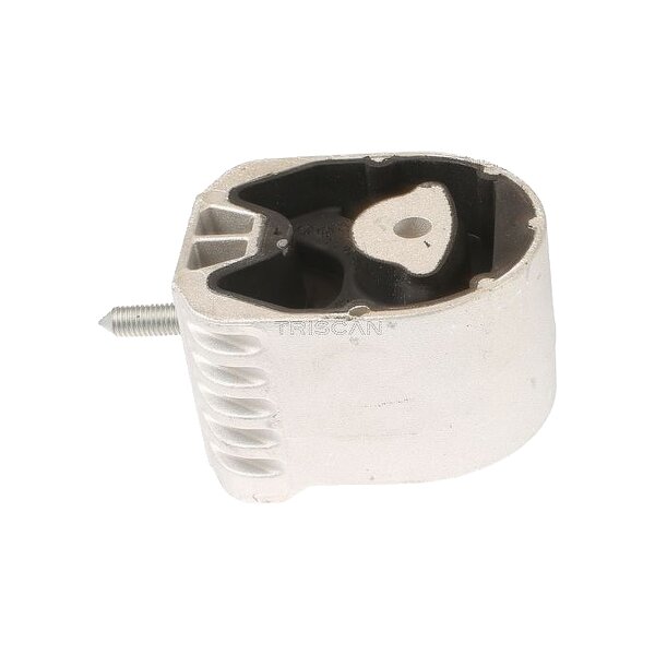 Lagerung Motor TRISCAN IAM-Expertise passend für u.a. MERCEDES-BENZ B-KLASSE