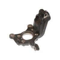 Achsschenkel Radaufhängung Gusseisen TRISCAN für u.a. SEAT LEON