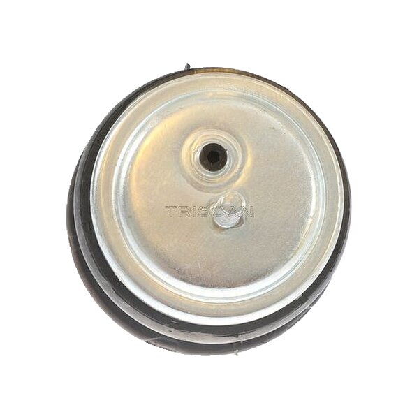 Lagerung Motor TRISCAN Aftermarket-Expertise passend für u.a. BMW 5er