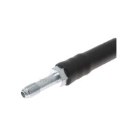 Brake Hose 510 mm F10x1 & M10x1 TRISCAN for...