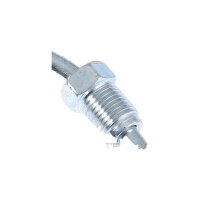 Brake Hose 1.660 mm M10x1 & M10x1 TRISCAN for e.g....