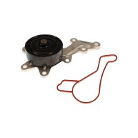 Wasserpumpe Motorkühlung TRISCAN IAM-Expertise...