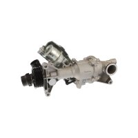 Wasserpumpe Motorkühlung TRISCAN für u.a....