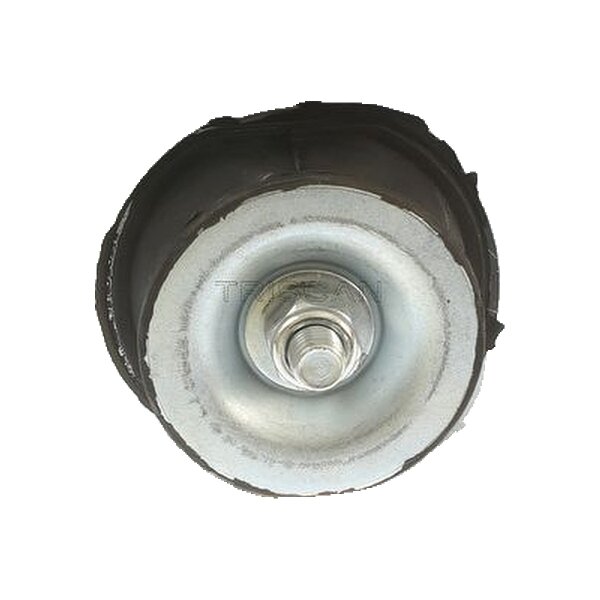 Mounting Engine TRISCAN IAM-Expertise suitable for RENAULT MASTER and others