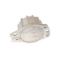 Lagerung Motor TRISCAN IAM-Expertise passend für...