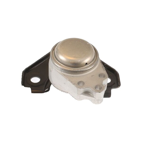 Lagerung Motor TRISCAN Aftermarket-Expertise passend für u.a. FORD FIESTA