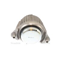 Lagerung Motor TRISCAN IAM-Expertise passend für...