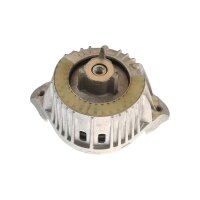 Lagerung Motor TRISCAN IAM-Expertise passend für...