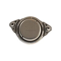 Lagerung Motor TRISCAN IAM-Expertise passend für...