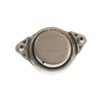 Lagerung Motor TRISCAN IAM-Expertise passend für...
