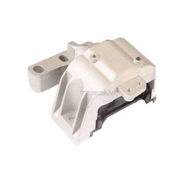Mounting Engine TRISCAN Aftermarket-Expertise suitable for e.g. VW BORA