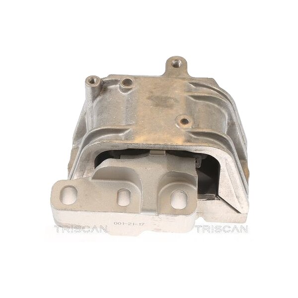 Lagerung Motor TRISCAN Aftermarket-Expertise passend für u.a. VW GOLF