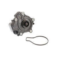 Engine Cooling Water Pump TRISCAN IAM-Expertise fits...