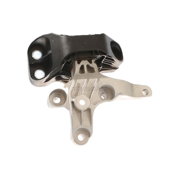 Mounting Engine TRISCAN Aftermarket-Expertise suitable for e.g. DACIA DUSTER