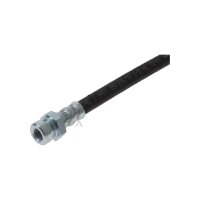 Brake Hose 415 mm F10x1 & M10x1 TRISCAN IAM-Expertise...