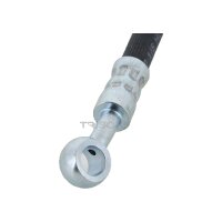 Brake Hose 246 mm F10x1 & M10x1 TRISCAN for e.g....