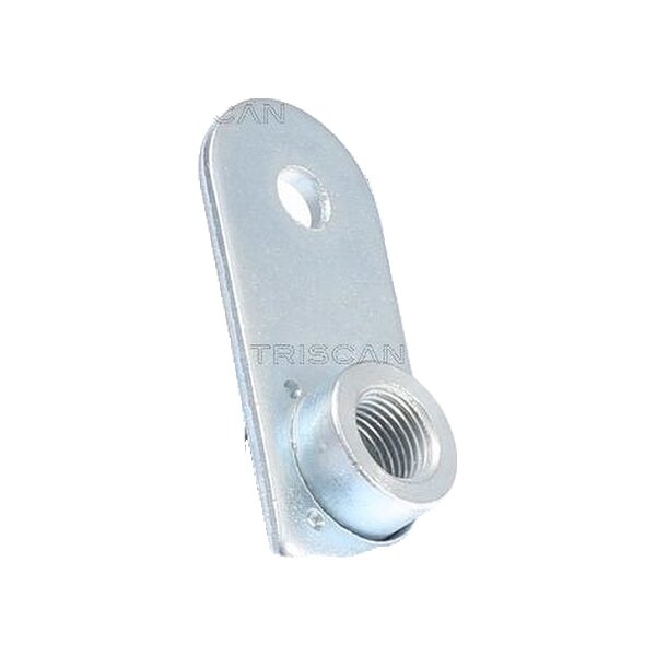 Bremsschlauch F10x1 & Banjo TRISCAN IAM-Expertise für u.a. SUZUKI GRAND