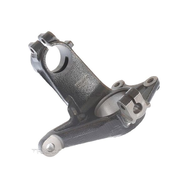 Achsschenkel Radaufhängung Gusseisen TRISCAN für u.a. PEUGEOT 206