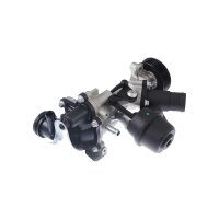 Wasserpumpe Motorkühlung TRISCAN für u.a....