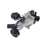 Wasserpumpe Motorkühlung TRISCAN für u.a....