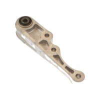 Mounting Engine TRISCAN IAM-Expertise suitable for FIAT...