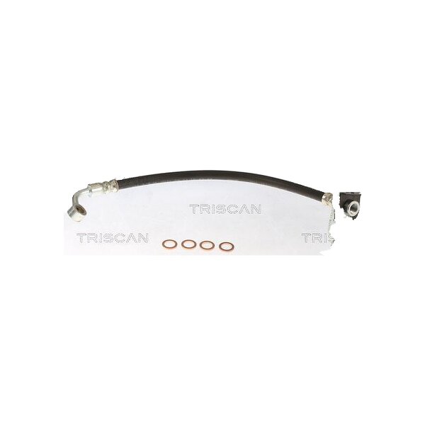 Brake Hose 385 mm F10x1 & Banjo TRISCAN for e.g. HYUNDAI i10
