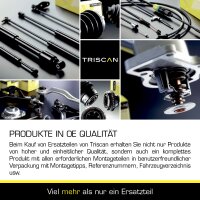 Handlebar Wheel Suspension TRISCAN suitable for TESLA...