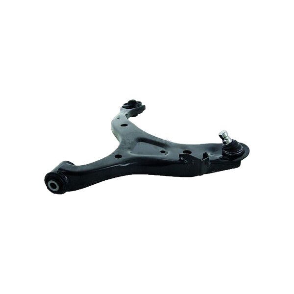 Handlebar Wheel Suspension control arm TRISCAN for HYUNDAI SANTA and others