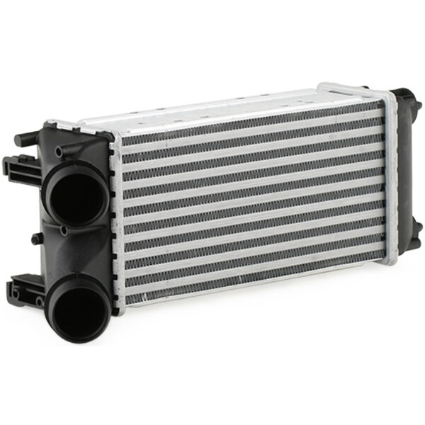 Charge Air Cooler 300 - 147 mm PARTSTEC suitable for e.g. CITROËN BERLINGO