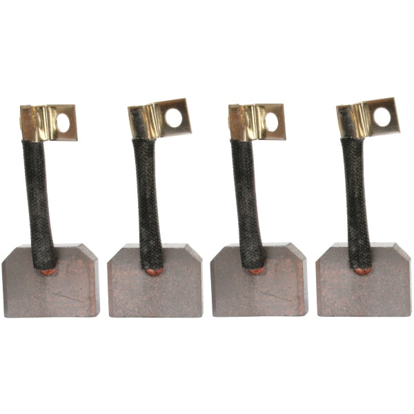 Starter Carbon Brush 24V 30 mm HC-CARGO IAM-Expertise for ISUZU and others