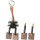 Kohlebürste Anlasser Starter 12 V 14 mm HC-CARGO