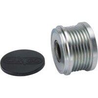 Generatorfreilauf 6 Rillen 54 mm HC-Cargo