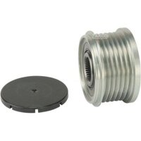 Overrunning alternator pulley 6 grooves 53.7 mm HC-CARGO...