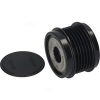 Generatorfreilauf 6 Rillen 54 mm HC-Cargo