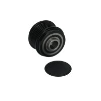 Alternator Freewheel Clutch 6 grooves Ø54 mm HC-CARGO IAM-Expertise for FORD