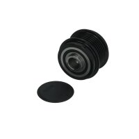 Alternator Freewheel Clutch 6 grooves Ø54 mm HC-CARGO IAM-Expertise for FORD