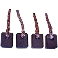 Carbon brush starter motor for effective cleaning 12 V 16...