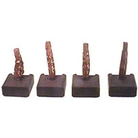 Carbon brush starter motor for effective cleaning 24 V 18...