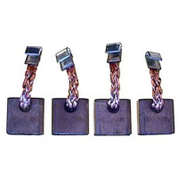 Carbon brush starter motor for effective cleaning 12 V 16...