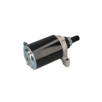Anlasser Starter 12V 0,5KW 10 Zähne HC-CARGO Aftermarket-Expertise für AGRIA