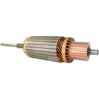 Anker Anlasser Starter Verbrenner rotierend HC-CARGO...