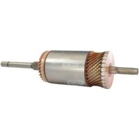 Anker Anlasser Starter Verbrenner rotierend HC-CARGO...