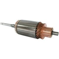 Anker Anlasser Starter Verbrenner rotierend HC-CARGO...