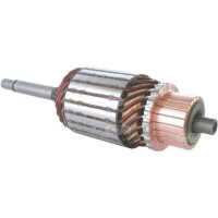 Anker Anlasser Starter Verbrenner rotierend HC-CARGO...